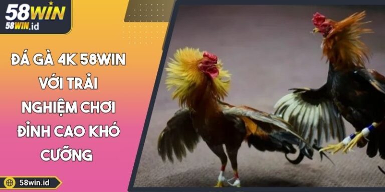 Đá gà 4K 58WIN