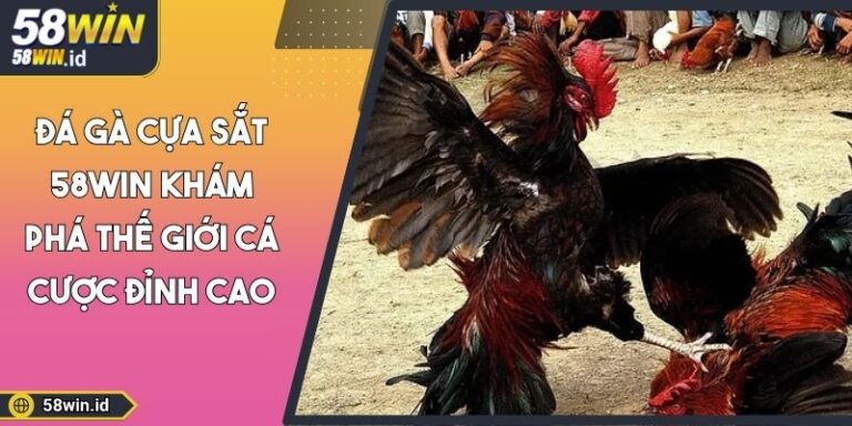 đá gà cựa sắt 58WIN