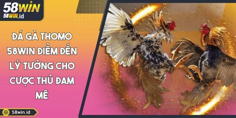 Đá gà Thomo 58WIN