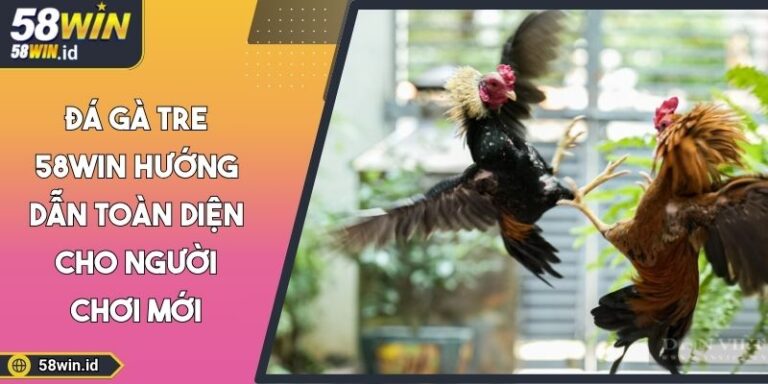 đá gà tre 58WIN